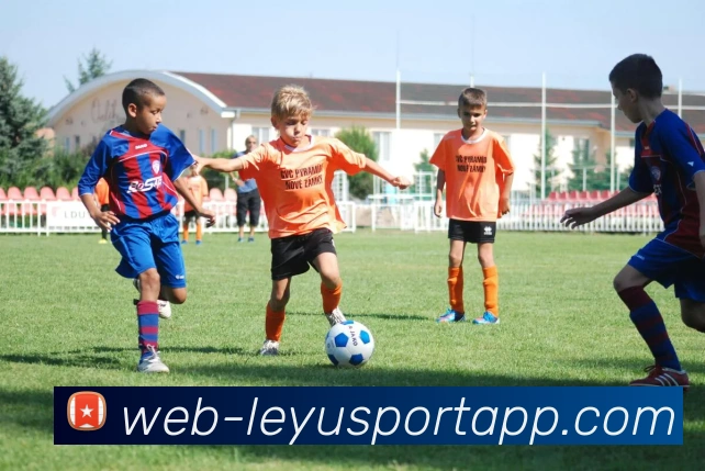 App Interface Preview