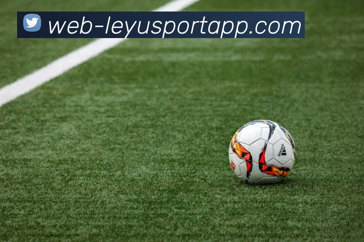 乐鱼体育APP 封面图